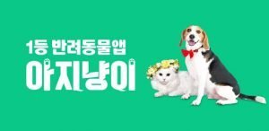 반려동물 집사들에게 유용한 아지냥이 앱!!
