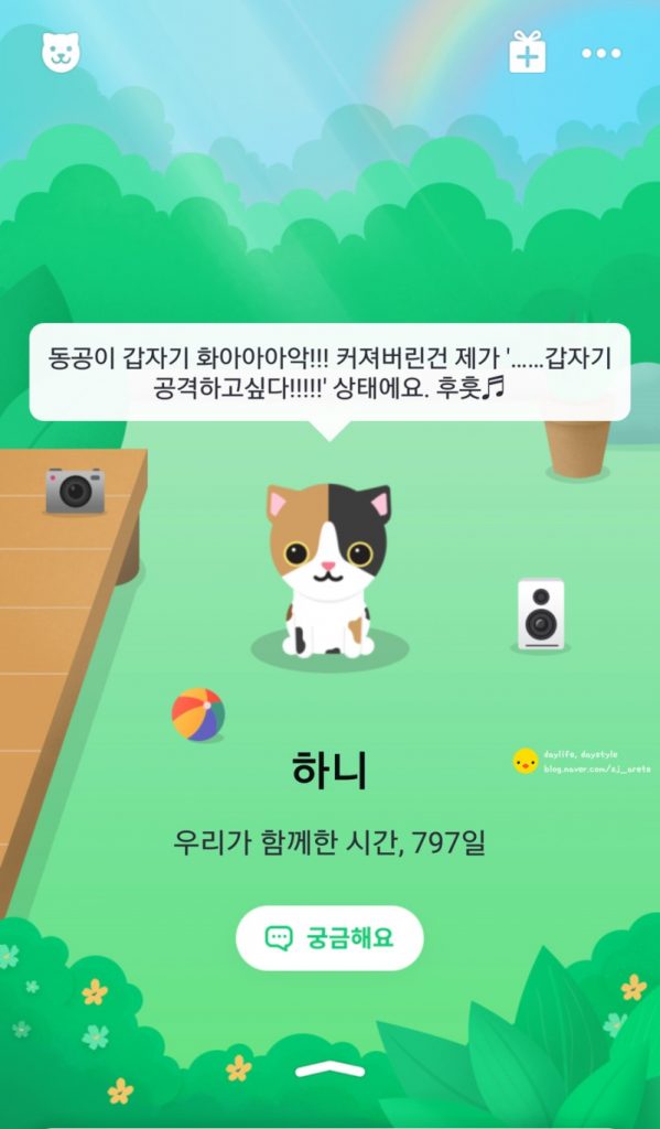 반려동물 집사들에게 유용한 아지냥이 앱!! 5