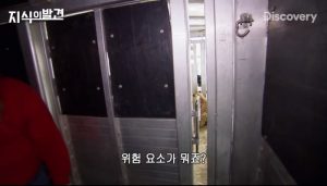 호랑이를 키울때 주의해야 할점