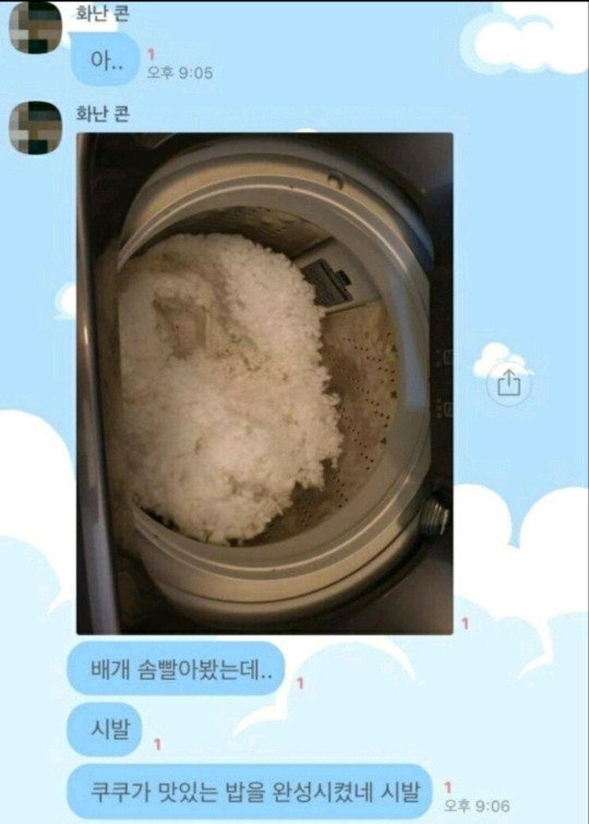 세탁기로 밥을 지어봤다