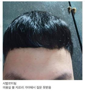박세로이 머리 따라하기