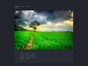 Simple Photoblogging with the Instapress WordPress Theme