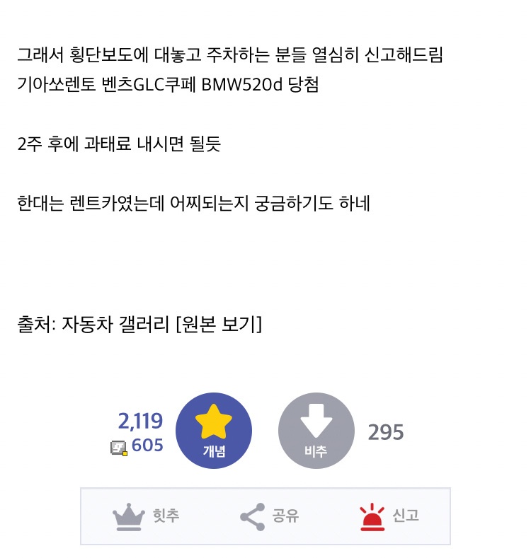 동네 불법주차 120대 신고하고 바뀐 점 12