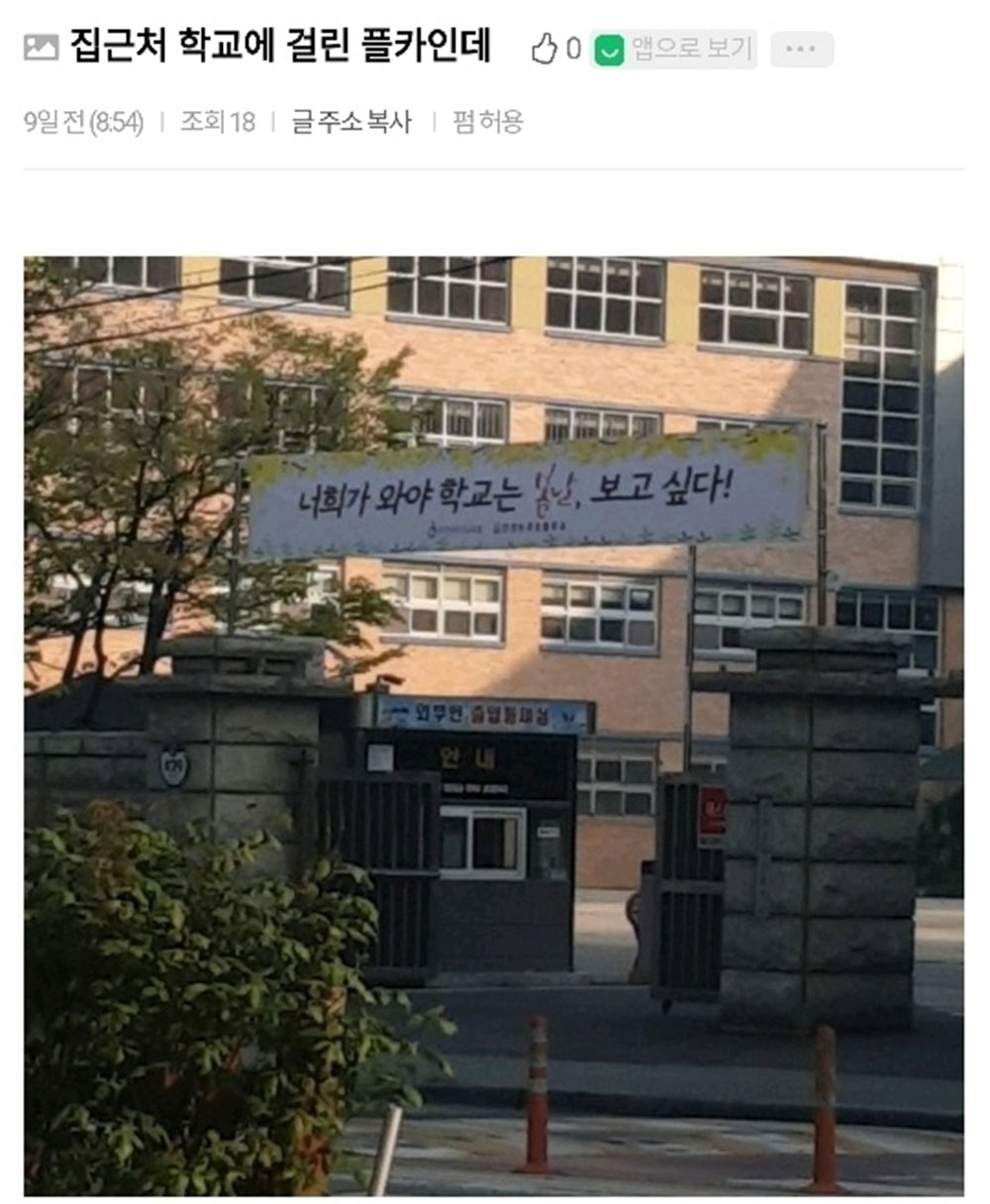 요즘 여러학교에 달렸다는 현수막