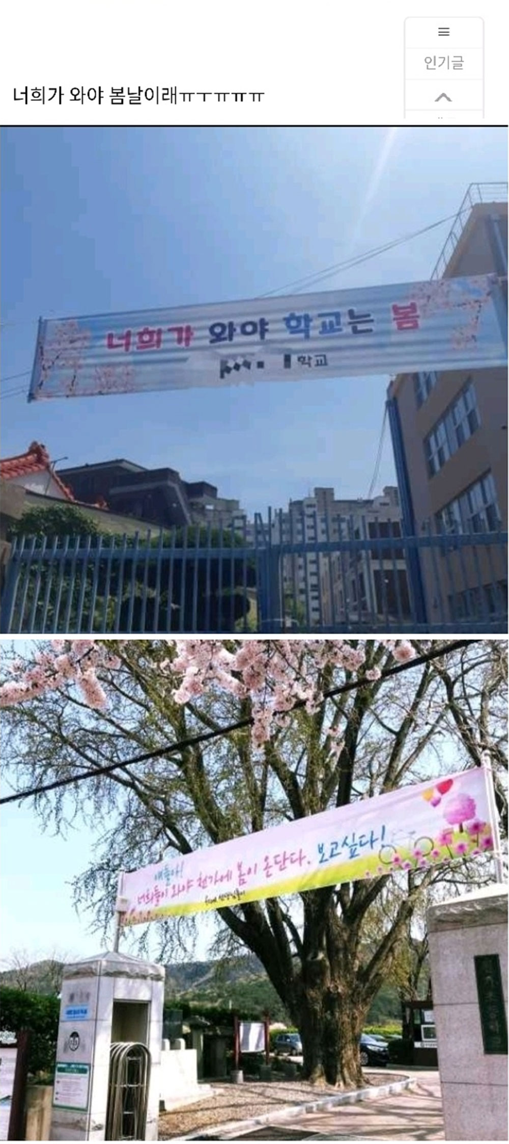 요즘 여러학교에 달렸다는 현수막 2