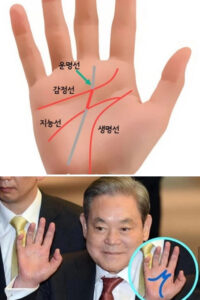 돈을 쓸어 담는다는  M자 손금