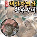 누군가 말했죠! 이건 꼭 사야할 쭈꾸미 – 국내산 서해안 활 쭈꾸미