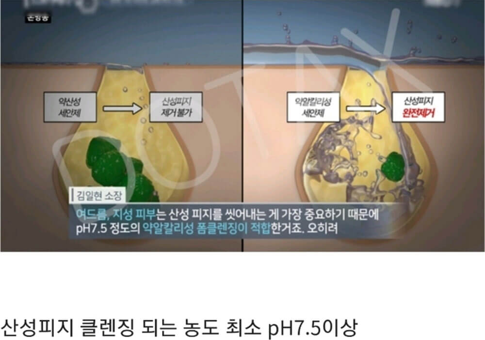 피지 많은 사람의 폼 클렌징 4