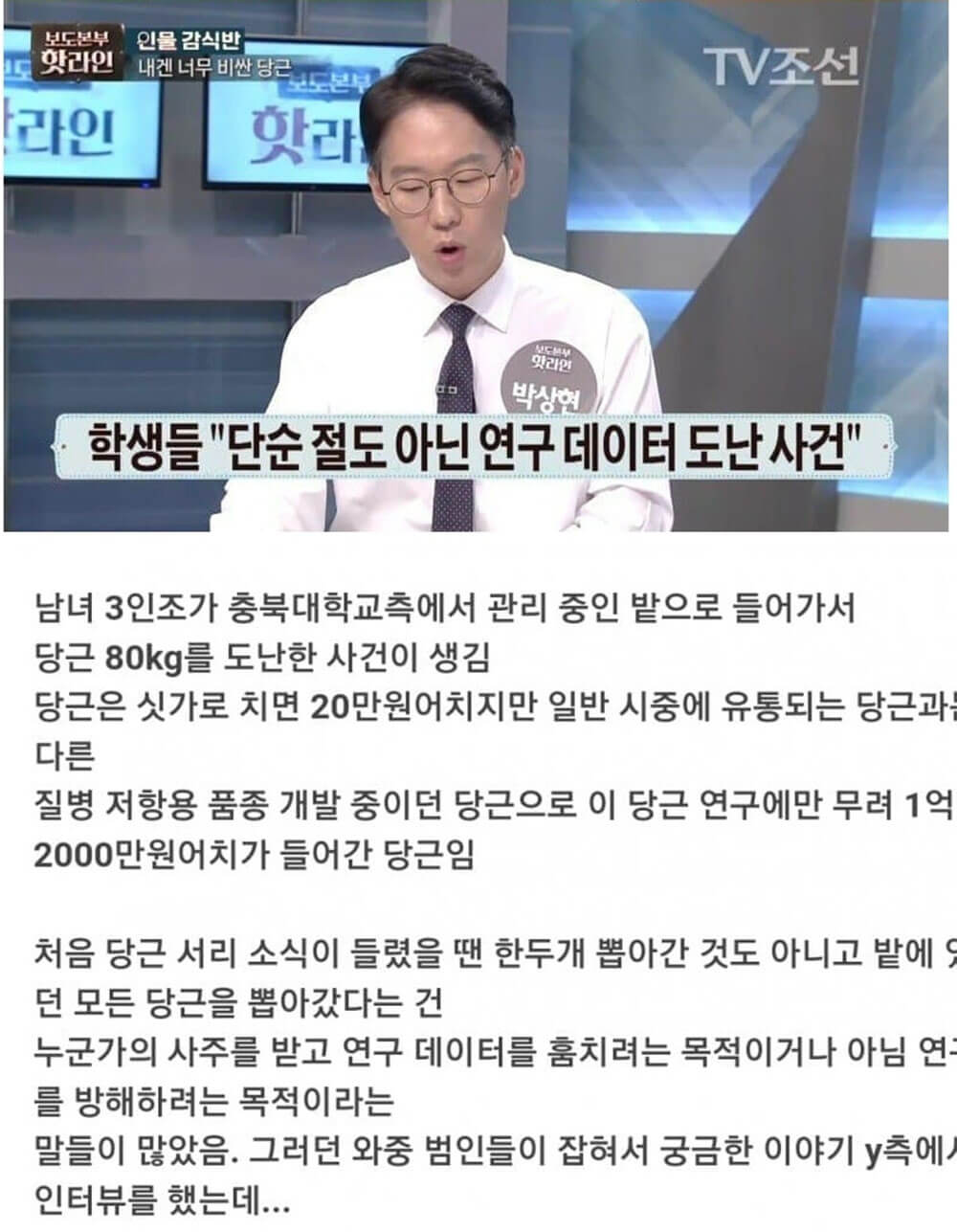 1억 투자 당근 서리 사건 결말 3