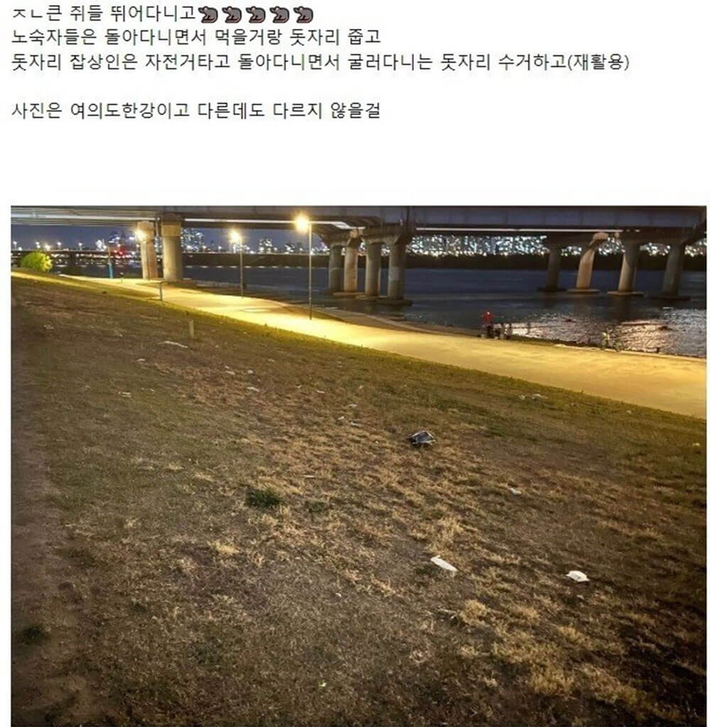 원래 모습 되찾고 있는 한강 공원