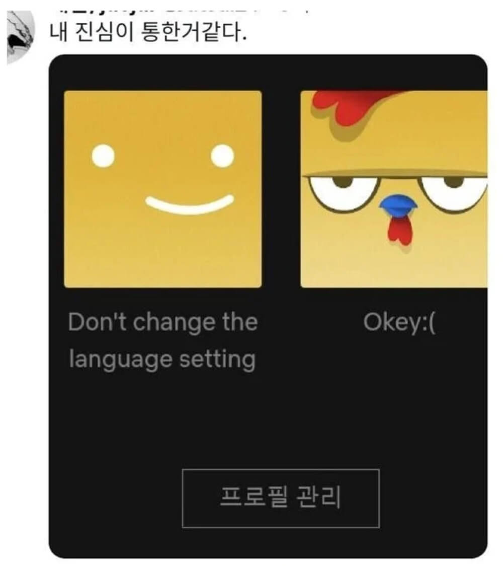 외국인한테 넷플릭스 해킹당한 사람 3