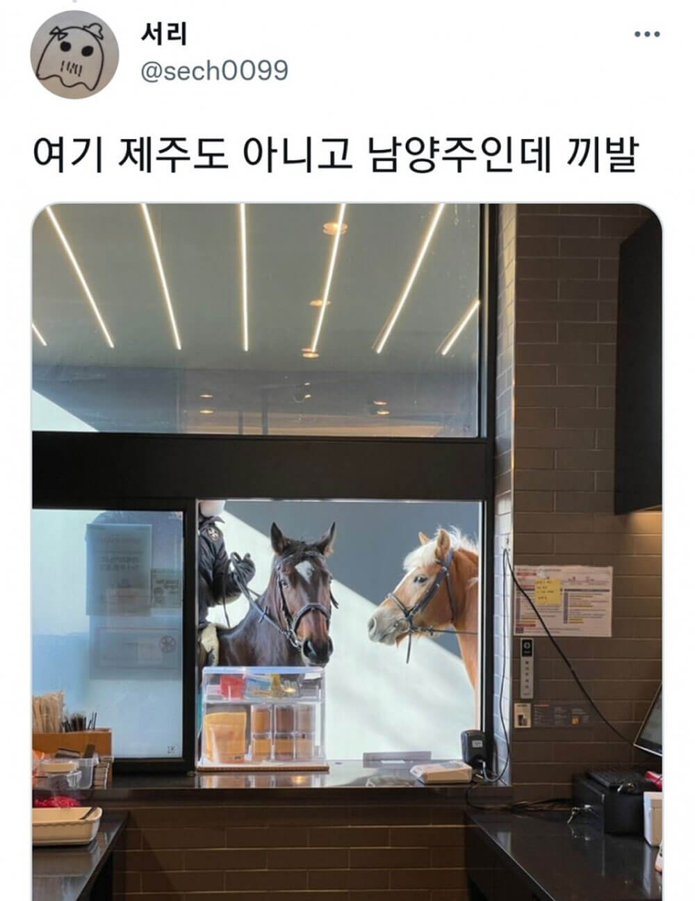 의외로 드라이브 스루에서 가능한 것 2