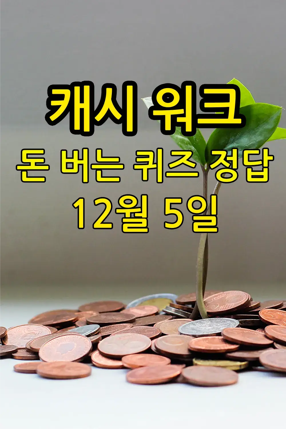 캐시 워크 돈 버는 퀴즈 정답 12월 5일 - Bizmark