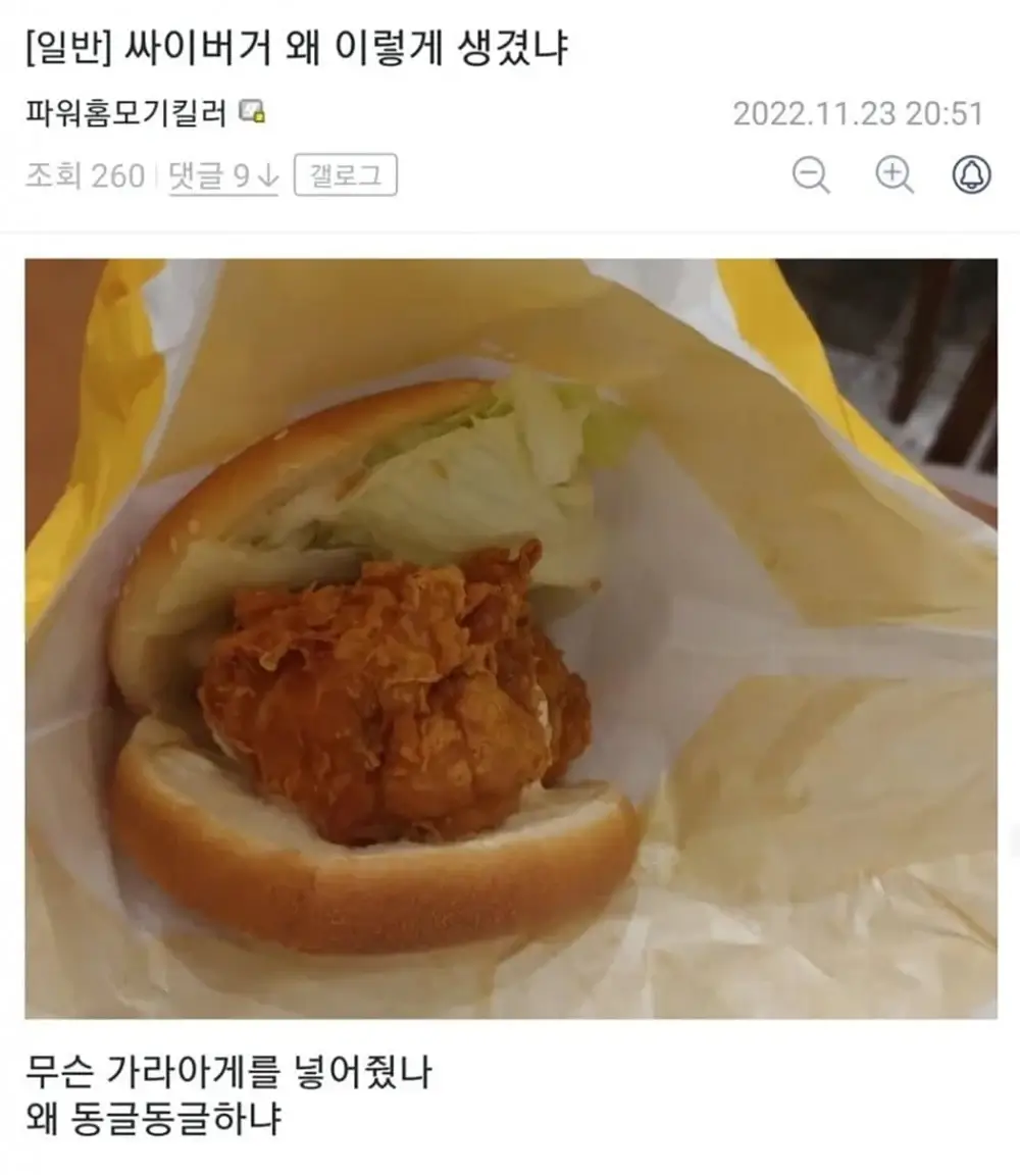 싸이버거 절망 편 1