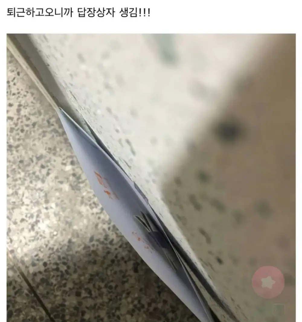 옆집 아기가 운영하는 익명 고민상담소 6