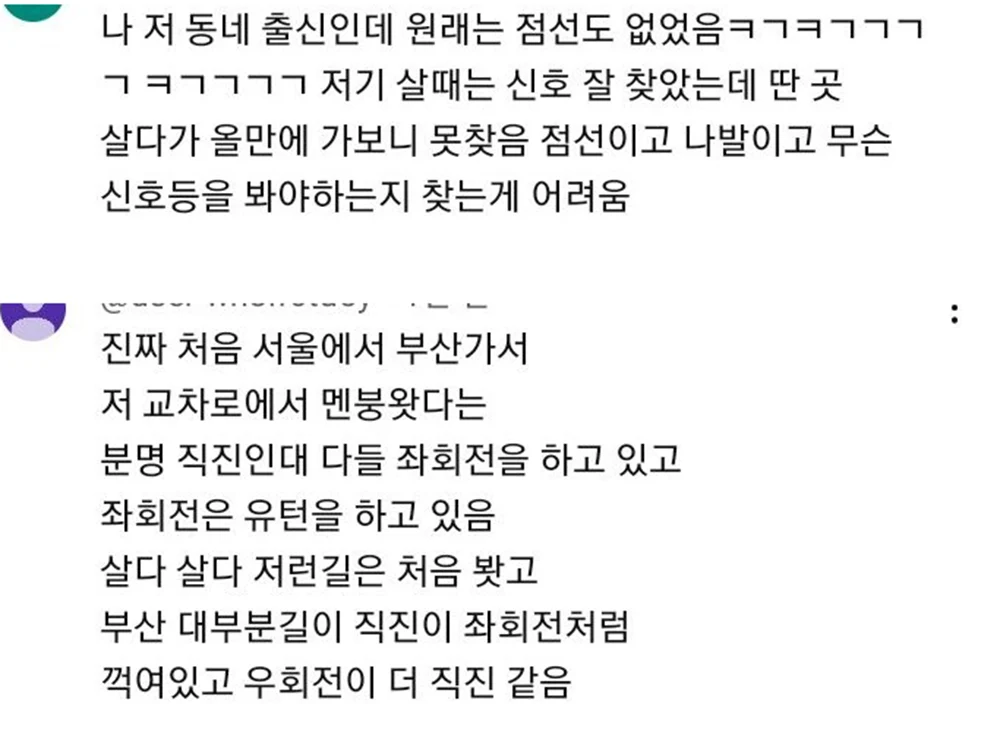 초보운전은 멘붕오는 교차로 2