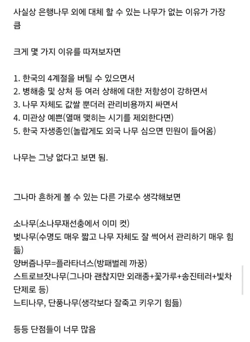 한국에 은행나무가 많은 이유 3