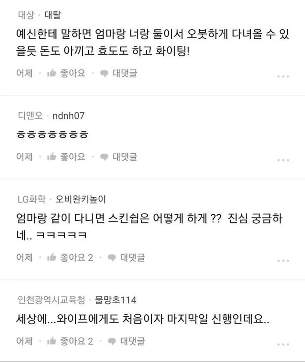 신혼여행에 엄마도 모시고 가려는 남자 1